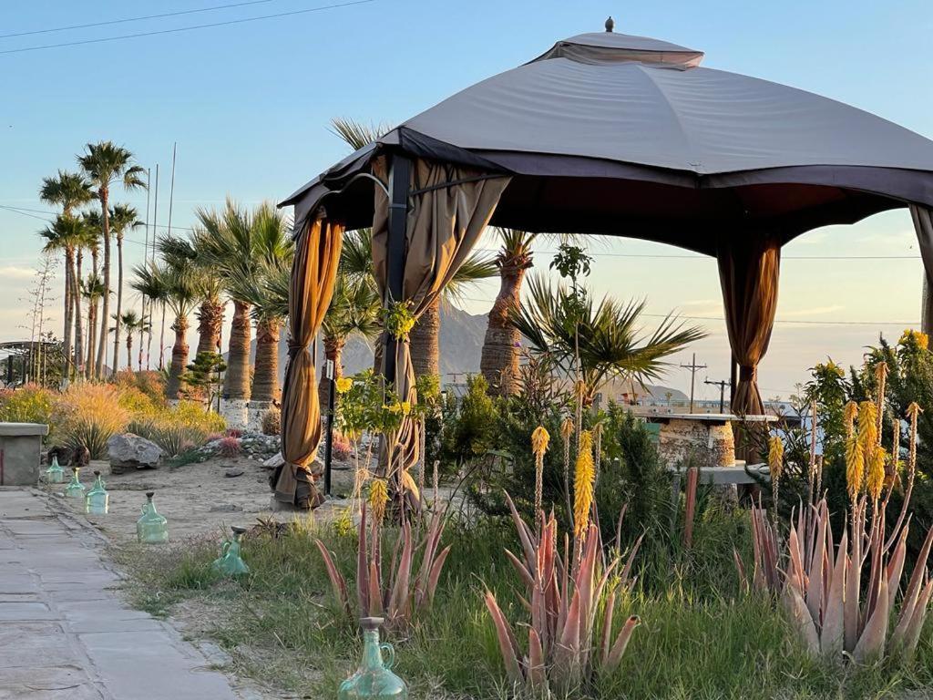 Hotel Las Palmas San Felipe  Dış mekan fotoğraf