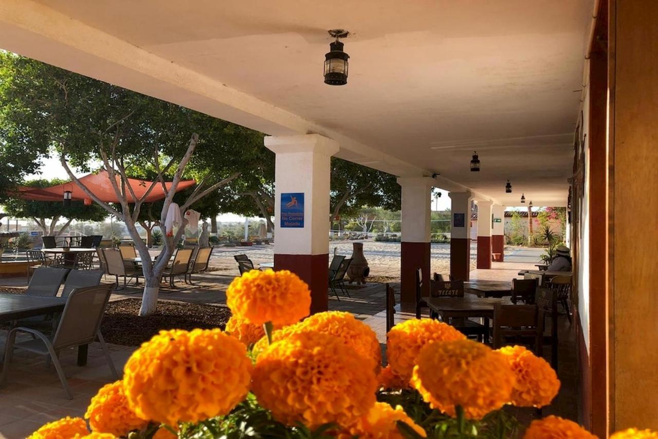 Hotel Las Palmas San Felipe  Dış mekan fotoğraf