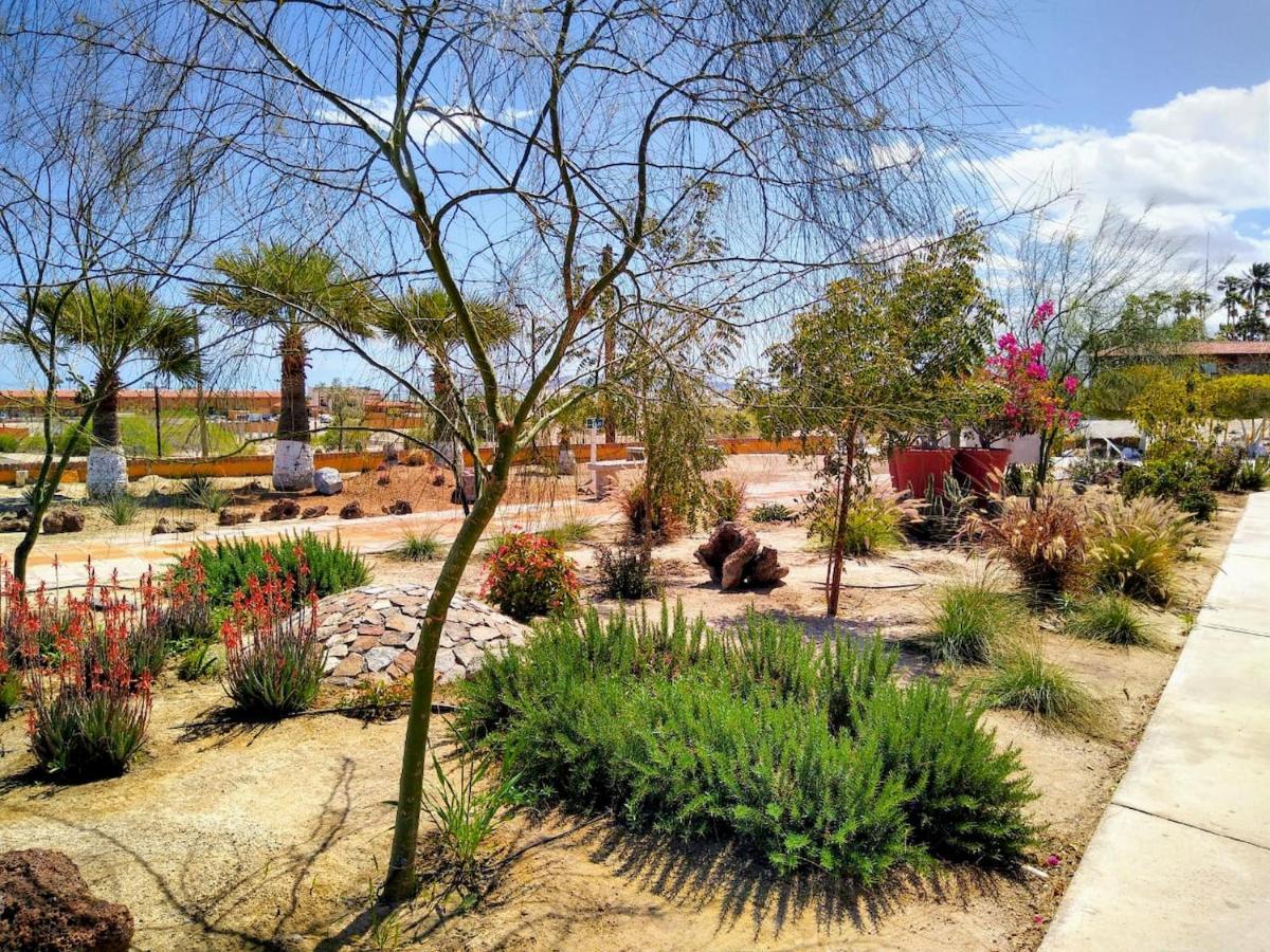 Hotel Las Palmas San Felipe  Dış mekan fotoğraf